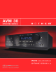 AVM 30